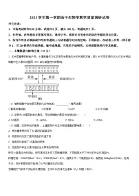 2024年上海市长宁区高三上学期期末高考一模生物试卷含详解