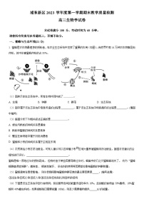 2024年上海市浦东新区高三上学期期末高考一模生物试卷含详解