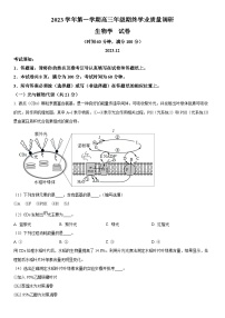 2024年上海市青浦区高三上学期期末高考一模生物试卷含详解