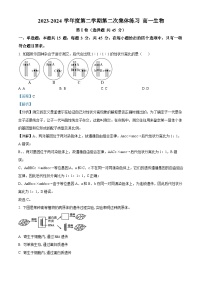 2024安徽省庐巢联盟高一下学期第二次月考生物试题含解析