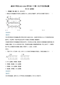 四川省内江市威远中学校2023-2024学年高二下学期第二次月考生物试题（学生版+教师版）
