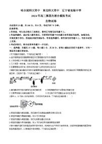2024东北三省三校（哈师大附中、东北师大附中、辽宁省实验中学）高三下学期四模生物试卷含答案