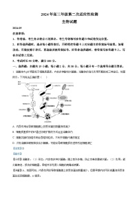 山东省青岛市2024年高三年级第二次适应性检测生物试题（学生版+教师版）