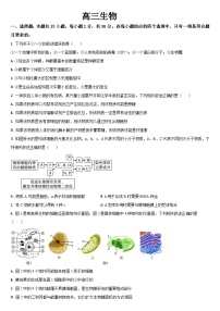 2024届吉林省通化市梅河口市第五中学高三三模生物试题