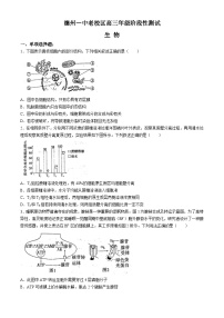 2024德州一中高三下学期三模试题生物含解析