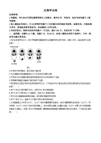 2024贵阳一中高三下学期5月三模试题生物含解析