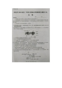 2024届河北省高三大数据应用调研联合测评生物试题