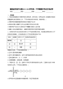 湖南省常德市沅澧2023-2024学年高一下学期期中考试生物试卷(含答案)