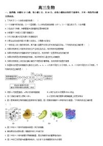 吉林省通化市梅河口市第五中学2024届高三下学期三模生物试题（Word版附答案）