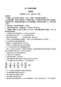 甘肃省白银市2023-2024学年高一下学期5月期中考试生物试题（Word版附答案）