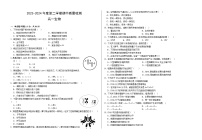 甘肃省武威市凉州区2023-2024学年高一下学期期中质量检测生物试题（Word版附答案）