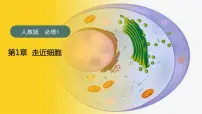 2025届高三一轮复习生物：走近细胞课件