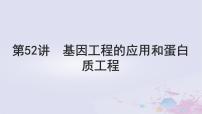 2025届高考生物一轮总复习选择性必修3第十单元生物技术与工程第52讲基因工程的应用和蛋白质工程课件