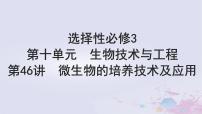 2025届高考生物一轮总复习选择性必修3第十单元生物技术与工程第46讲微生物的培养技术及应用课件