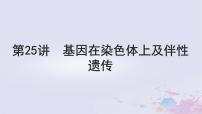 2025届高考生物一轮总复习必修2第五单元遗传的基本规律伴性遗传与人类遗传病第25讲基因在染色体上及伴性遗传课件