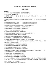 河南省洛阳市2023-2024学年高二下学期6月期末生物试题（含答案）