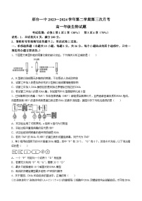 河北省邢台市信都区邢台市第一中学2023-2024学年高一下学期5月月考生物试题（含答案）