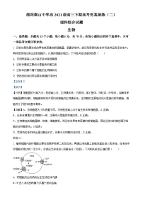 四川省绵阳市南山中学2024届高三下学期5月模拟预测生物试题（Word版附解析）