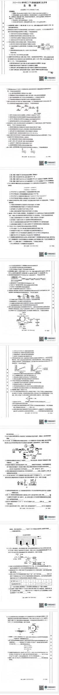 河北省邢台市名校联盟2023-2024学年高二下学期6月月考(第三次月考）生物试题及答案