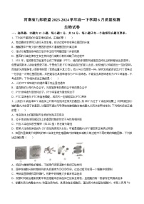 河南省九师联盟2023-2024学年高一下学期6月质量检测生物试题（含答案）