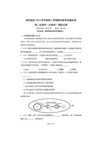 [生物]上海市浦东新区2023～2024学年度高二下学期期末教学质量检测生物学（合格考）模拟试卷（有答案）