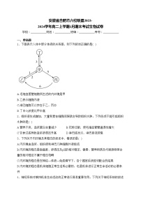 安徽省合肥市六校联盟2023-2024学年高二上学期1月期末考试生物试卷(含答案)