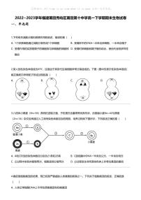 [生物]2022_2023学年福建莆田秀屿区莆田第十中学高一下学期期末生物试卷