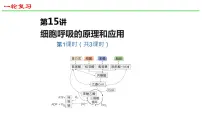2025届高三生物一轮复习课件23：细胞呼吸的原理和应用（第1课时）