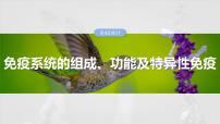 2025届高三一轮复习生物：免疫系统的组成、功能及特异性免疫课件