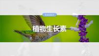 2025届高三一轮复习生物：植物生长素课件