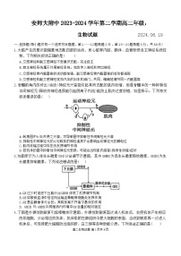 安徽省芜湖市镜湖区安徽师范大学附属中学2023-2024学年高二下学期6月测试生物试题