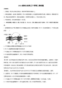 [生物]2024届河北省高三下学期二模试题（解析版）