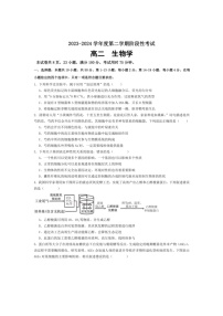 [生物]广东省汕头市潮阳黄图盛中学2023～2024学年高二下学期第二次阶段期中考试生物试题（含答案）