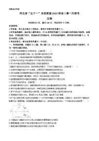 2025河北省“五个一”名校联盟高三上学期第一次联考生物试卷含解析