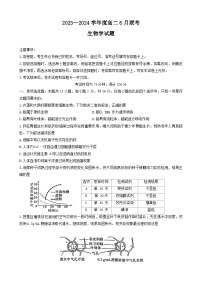 2024山东省百师联盟高二下学期期末联考生物试题含解析