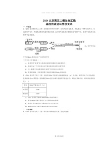 [生物][二模]2024北京高三试题分类汇编：基因的表达与性状关系