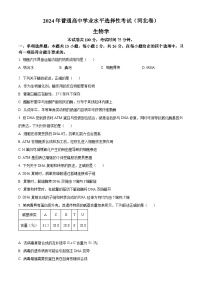 2024年高考真题——生物（河北卷）试题（Word版附答案）