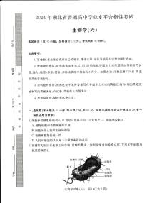 2024年湖北省普通高中学业水平合格性考试模拟（六）生物试题