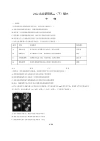 [生物]2022北京朝阳高二下学期期末试卷及答案