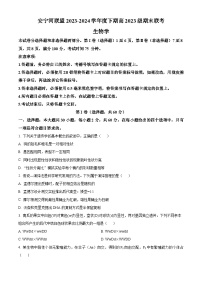 四川省凉山州安宁河联盟2023-2024学年高一下学期期末联考生物试题（Word版附解析）