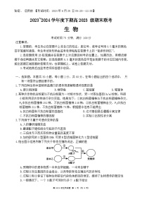 四川省乐山市峨眉第二中学校2023-2024学年高一下学期期末考试生物试题