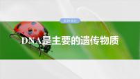 第六单元　第二十九课时　DNA是主要的遗传物质-2025年高考生物大一轮复习课件