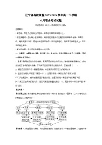 [生物]辽宁省名校联盟2023-2024学年高一下学期6月联合考试试题（解析版）