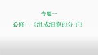 2024届高三生物二轮复习课件专题一复习  组成细胞的分子