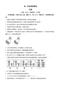 江苏省宿迁市泗阳县2023-2024学年高一下学期6月期末生物试题（原卷版+解析版）