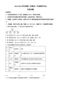 江苏省盐城市2023-2024学年高一下学期6月期末生物试题（原卷版+解析版）