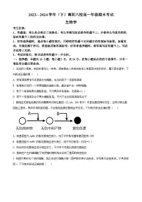 河南省南阳市南阳六校联考2023-2024学年高一下学期6月期末生物试题（原卷版+解析版）