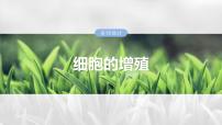 第四单元　第十九课时　细胞的增殖-2025年高考生物大一轮复习课件