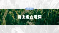 第五单元　第二十六课时　自由组合定律-2025年高考生物大一轮复习课件