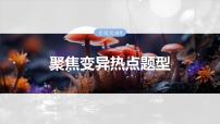 第七单元　专题突破9　聚焦变异热点题型-2025年高考生物大一轮复习课件